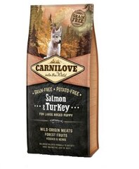 Carnilove Salmon&Turkey Puppy Large 12kg Kucēniem cena un informācija | Sausā barība suņiem | 220.lv