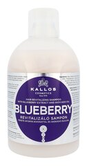 Atjaunojošs šampūns Kallos Blueberry Hair 1000 ml cena un informācija | Šampūni | 220.lv