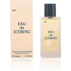 Iceberg Eau de Iceberg Femme EDT 100ml cena un informācija | Sieviešu smaržas | 220.lv