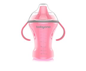 Bērnu pudelīte BabyOno Natural Nursing, 260 ml, 1457, rozā cena un informācija | Bērnu pudelītes un to aksesuāri | 220.lv