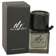Parfem za muškarce Mr Burberry Burberry EDT: Tilpums - 50 ml cena un informācija | Vīriešu smaržas | 220.lv