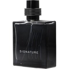 Vīriešu smarža,Nino Cerruti Cerruti 1881 Signature EDP, 100 ml cena un informācija | Vīriešu smaržas | 220.lv