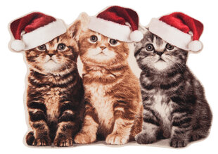 Hanse Home durų kilimėlis Printy Christmas Cats, 45x64 cm cena un informācija | Kājslauķi | 220.lv