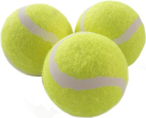 Tenisa bumbiņas Schildkrot Magic-Sports, 3 gab. cena un informācija | Āra tenisa preces | 220.lv