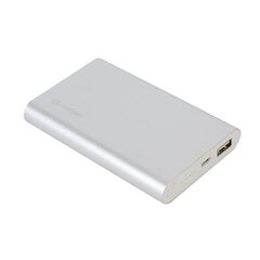 Portatīvs ārējais akumulators Platinet 10000mAh, piemērots ierīcēm 2 x USB, sudrabainā krāsā cena un informācija | Lādētāji-akumulatori (Power bank) | 220.lv