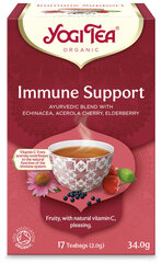 Ājurvēda YogiTea® Immune Support, 30.6 g cena un informācija | Tēja | 220.lv