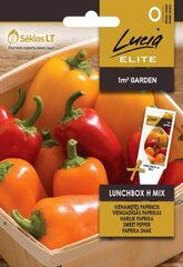 Viengadīga paprika Lunchbox H Mix cena un informācija | Dārzeņu, ogu sēklas | 220.lv