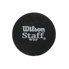 Profesionāla skvoša bumba Wilson Staff, 1 gab. cena un informācija | Skvošs | 220.lv