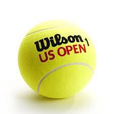 Tenisa bumbiņas Wilson US OPEN, 4 gab cena un informācija | Āra tenisa preces | 220.lv