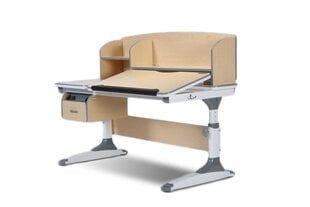 Эргономичный письменный стол iStudy C120, цвета дуба цена и информация | Компьютерные, письменные столы | 220.lv