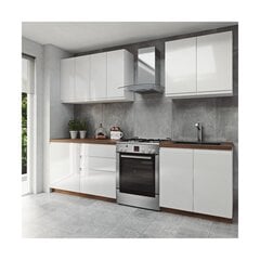 Virtuves skapīšu komplekts Aspen, balts cena un informācija | Virtuves komplekti | 220.lv