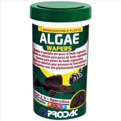Prodac Algae Wafers augu tabletes zivīm 250ml 125g cena un informācija | Zivju barība | 220.lv