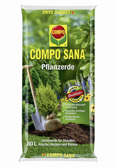 Substrāts dekoratīviem un skujkoku augiem 40l cena un informācija | Grunts, zeme, kūdra, komposts | 220.lv