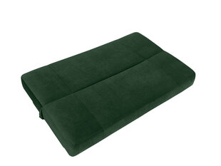 Dīvāns BRW Nika, zaļš cena un informācija | Dīvāni | 220.lv