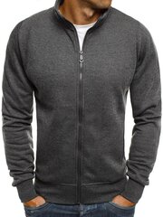 Tumši pelēks vīriešu džemperis &quot;Silon&quot; cena un informācija | Vīriešu jakas | 220.lv