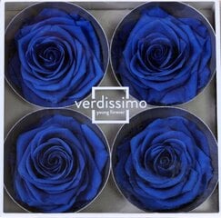 Stabilizētas Premium rozes 4 gab., tumši zila cena un informācija | Stabilizētās rozes, augi | 220.lv
