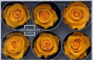 Stabilizētas Standard rozes 6 gab., dzeltenas cena un informācija | Stabilizētās rozes, augi | 220.lv