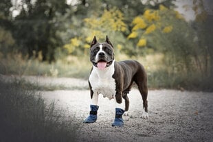 Amiplay suņu apavi Bristol, sarkani, L cena un informācija | Apģērbi suņiem | 220.lv
