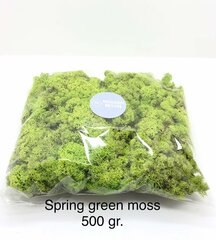 Stabilizētā sūna Spring green 500 g. cena un informācija | Stabilizētās rozes, augi | 220.lv