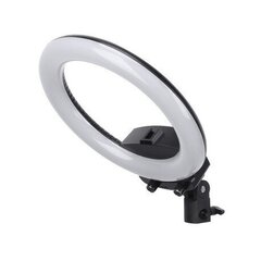 Lampa Selfie Ring ar akumulatoru, 26 cm, 8 W, melna cena un informācija | Apgaismojums fotografēšanai | 220.lv