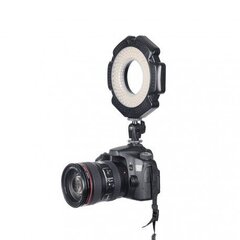 Lampa Premium Ring fotoaparātam, 10 W cena un informācija | Apgaismojums fotografēšanai | 220.lv