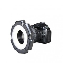 Lampa Premium Ring fotoaparātam, 5 W cena un informācija | Apgaismojums fotografēšanai | 220.lv
