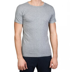 Vīriešu T-krekls Ceylan, pelēks, 3 gab. cena un informācija | Vīriešu apakškrekli | 220.lv