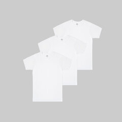 Vīriešu T-krekls Ceylan, balts, 3 gab. cena un informācija | Vīriešu apakškrekli | 220.lv