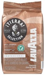 Kafijas pupiņas Lavazza Tierra Selection 1 kg cena un informācija | Kafija, kakao | 220.lv