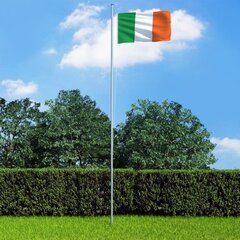 vidaXL Īrijas karogs, 90x150 cm cena un informācija | Karogi un aksesuāri | 220.lv