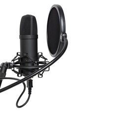 Studijas mikrofons Stagg SUM45 ar statīvu un turētāju cena un informācija | Mikrofoni | 220.lv