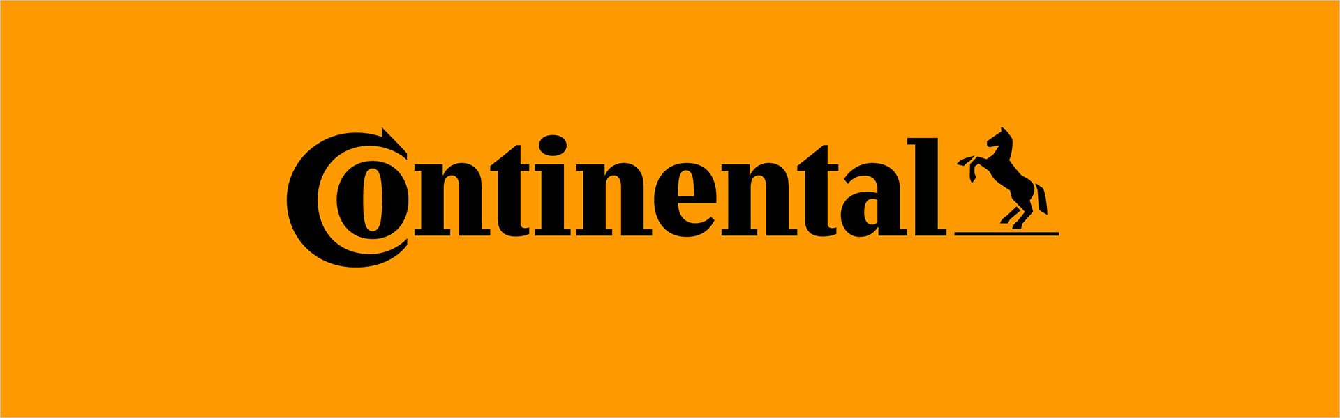 Continental ContiWinterContact TS 810 S 255/45R18 99 V MO Continental