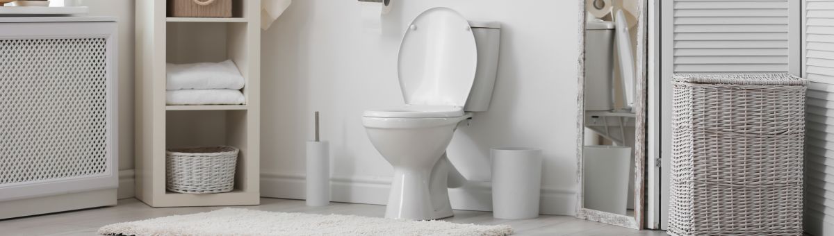 Piemērotākais tualetes pods atbilstoši Jūsu mājokļa kanalizācijas izvada veidam