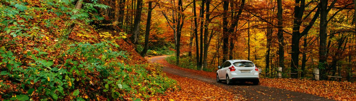 Noderīgi ieteikumi, kā droši pārvietoties ar auto rudenī