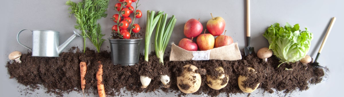 10 komposta veidošanas pamatprincipi, kas jāzina katram dārzniekam
